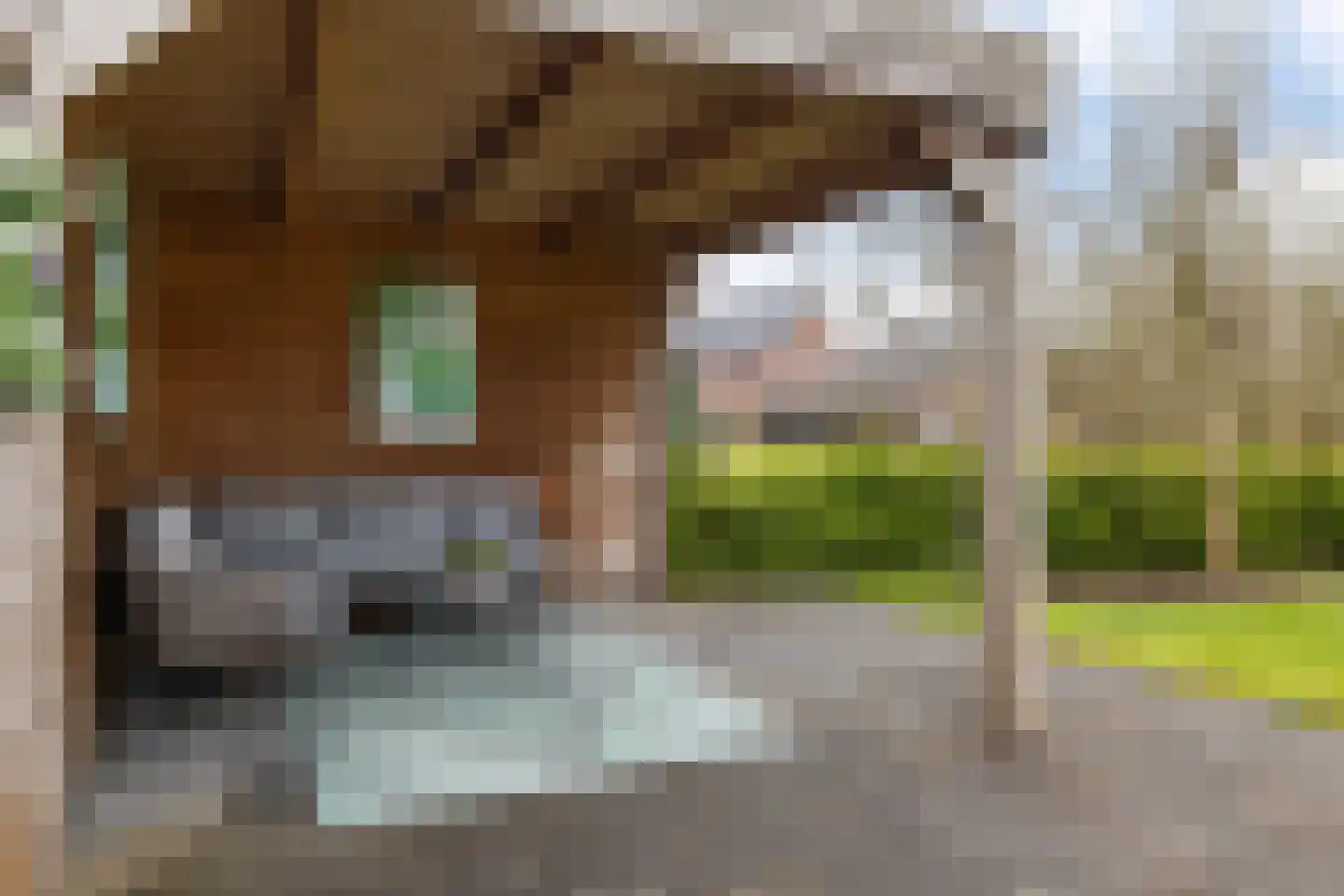 Langs de erven 244 Meerstad thumbnail 39