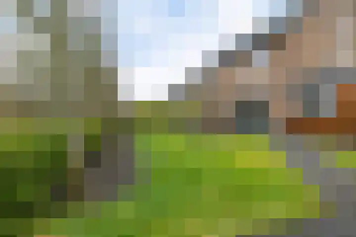 Langs de erven 244 Meerstad thumbnail 41