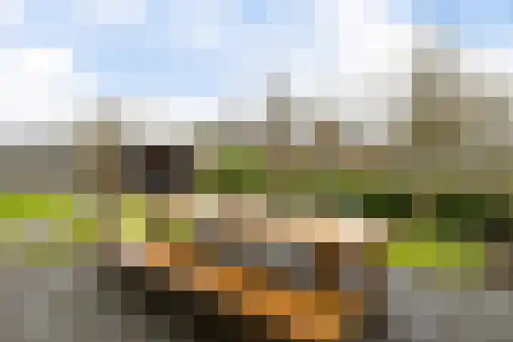 Langs de erven 244 Meerstad thumbnail 43