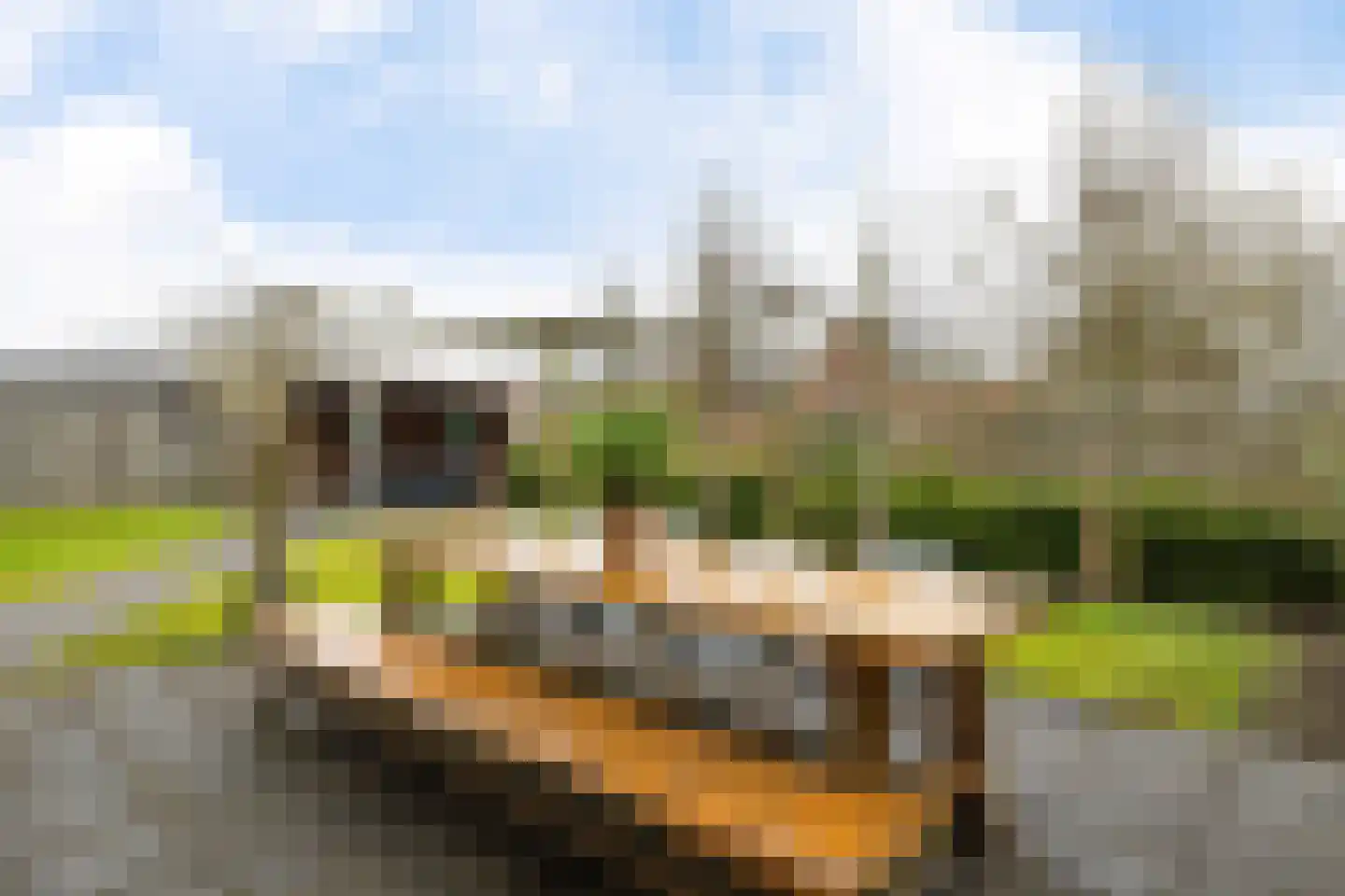 Langs de erven 244 Meerstad thumbnail 43