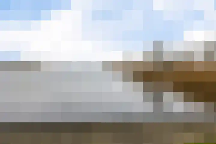 Langs de erven 244 Meerstad thumbnail 46