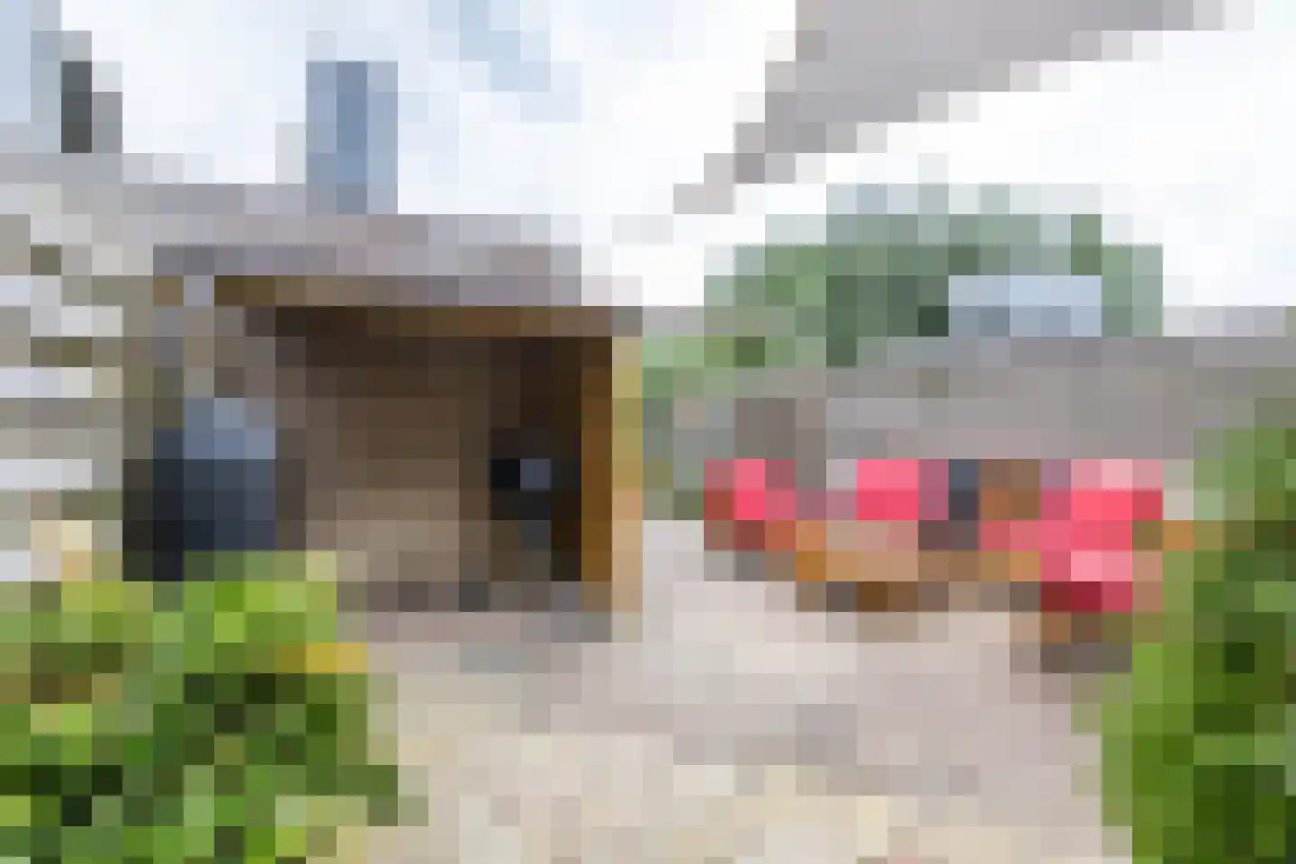 Langs de erven 273 Meerstad thumbnail 37