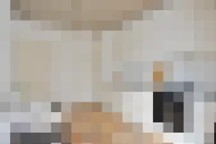 Langs de Gewannen 7 Ulestraten thumbnail 14