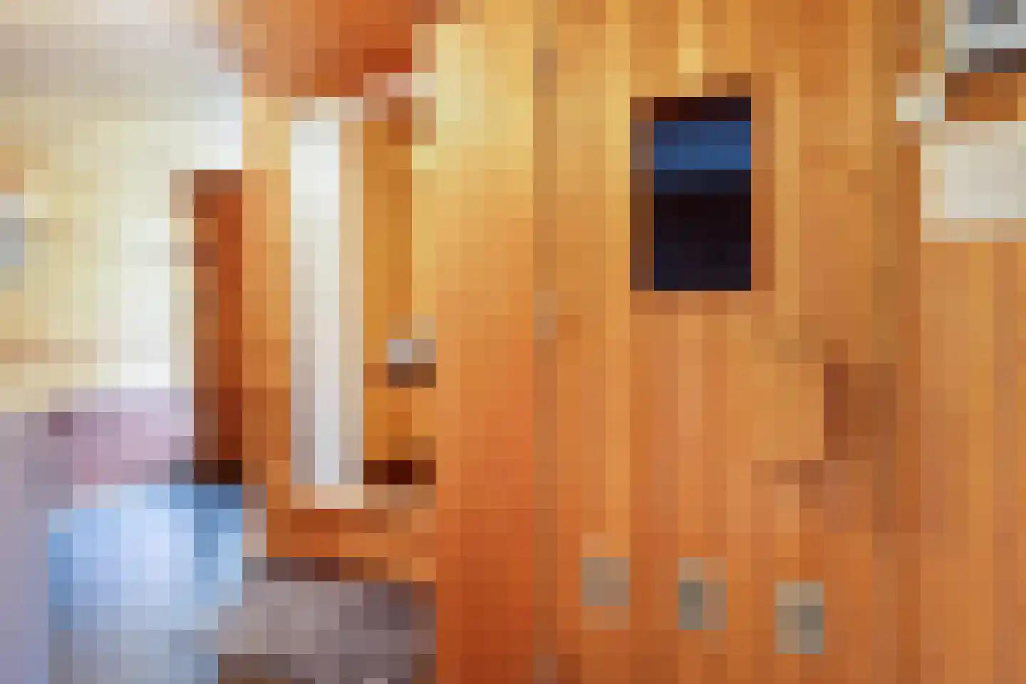 Langs de Heij 18 Sittard thumbnail 33