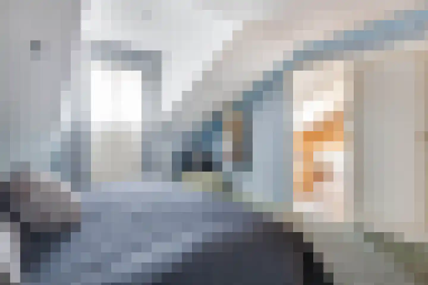 Langs de Heij 18 Sittard thumbnail 35