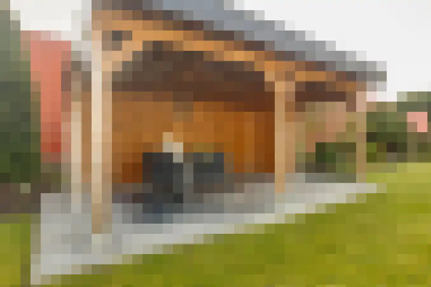 Langs de Heij 18 Sittard thumbnail 42