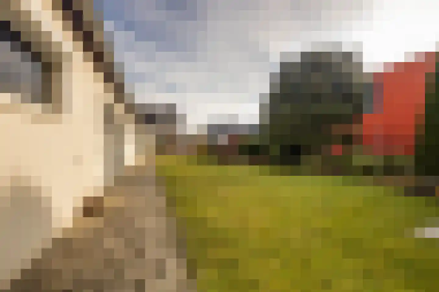 Langs de Heij 18 Sittard thumbnail 51