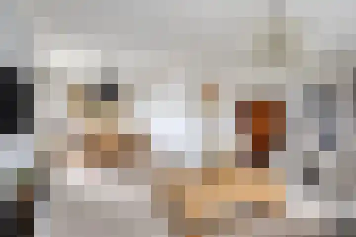 Langs de Kreek 13 a Terneuzen thumbnail 10