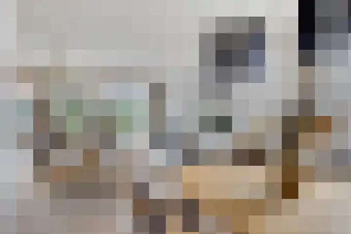 Langs de Kreek 13 a Terneuzen thumbnail 11