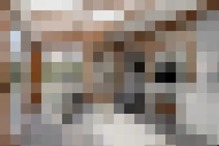 Langs de Kreek 13 a Terneuzen thumbnail 15