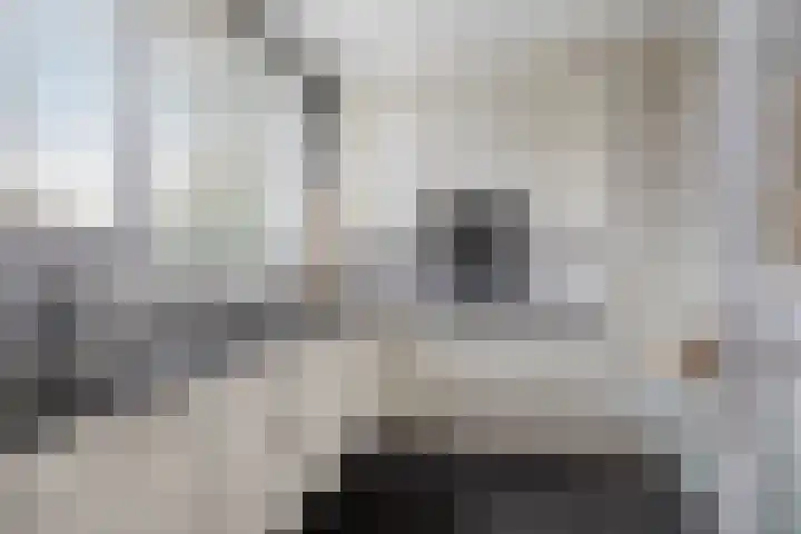 Langs de Kreek 13 a Terneuzen thumbnail 16