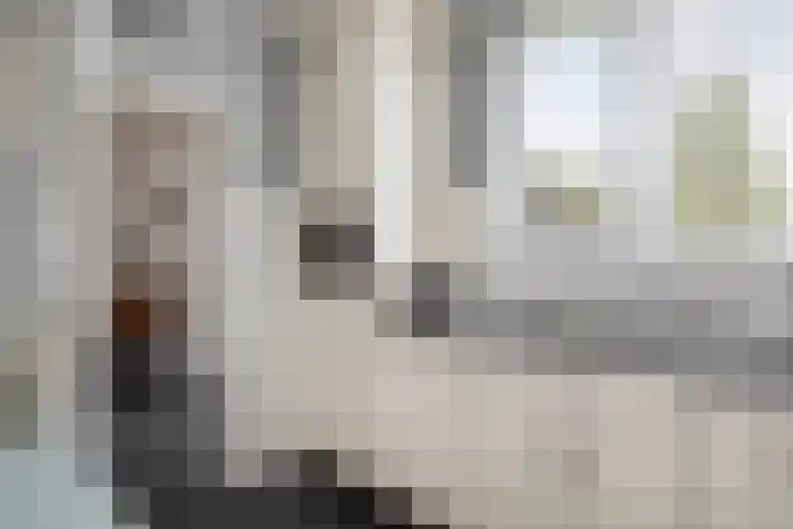 Langs de Kreek 13 a Terneuzen thumbnail 17
