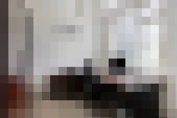 Langs de Kreek 13 a Terneuzen thumbnail 19