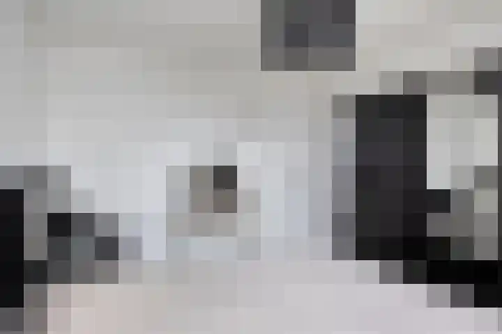 Langs de Kreek 13 a Terneuzen thumbnail 22