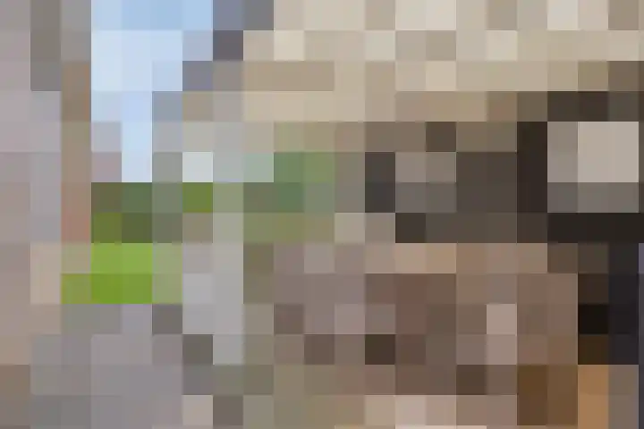 Langs de Kreek 13 a Terneuzen thumbnail 26