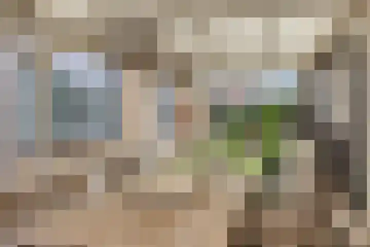 Langs de Kreek 13 a Terneuzen thumbnail 27