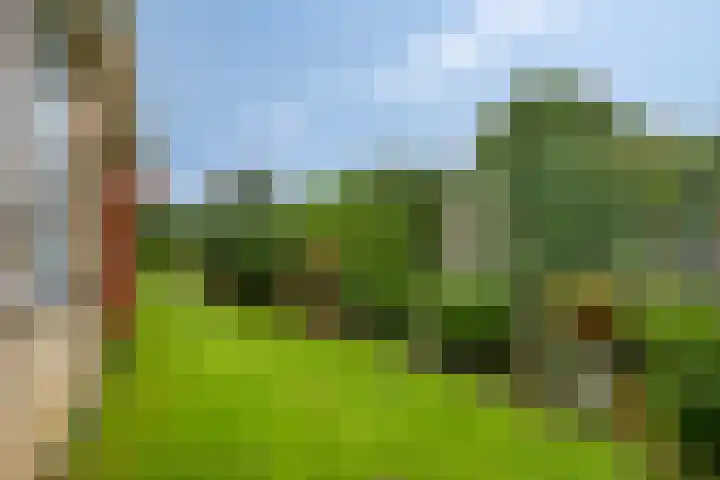 Langs de Kreek 13 a Terneuzen thumbnail 28