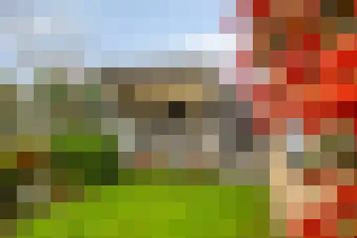 Langs de Kreek 13 a Terneuzen thumbnail 29