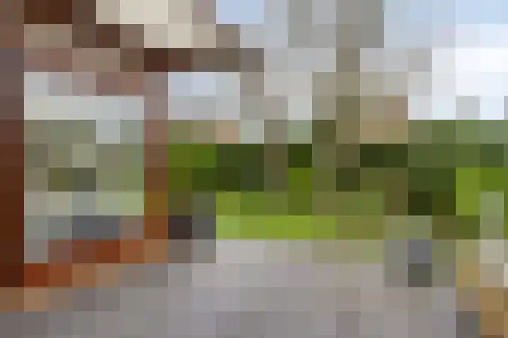 Langs de Kreek 13 a Terneuzen thumbnail 30