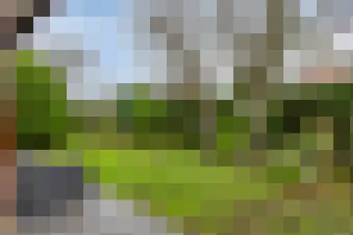 Langs de Kreek 13 a Terneuzen thumbnail 31