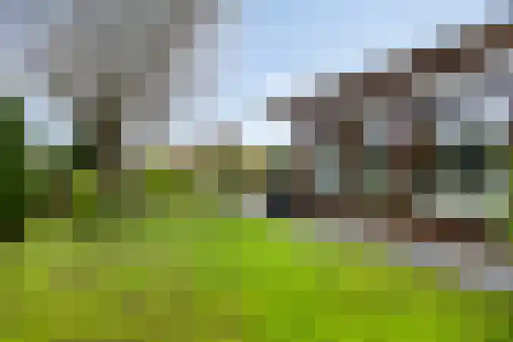 Langs de Kreek 13 a Terneuzen thumbnail 32
