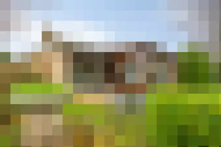 Langs de Kreek 13 a Terneuzen thumbnail 33