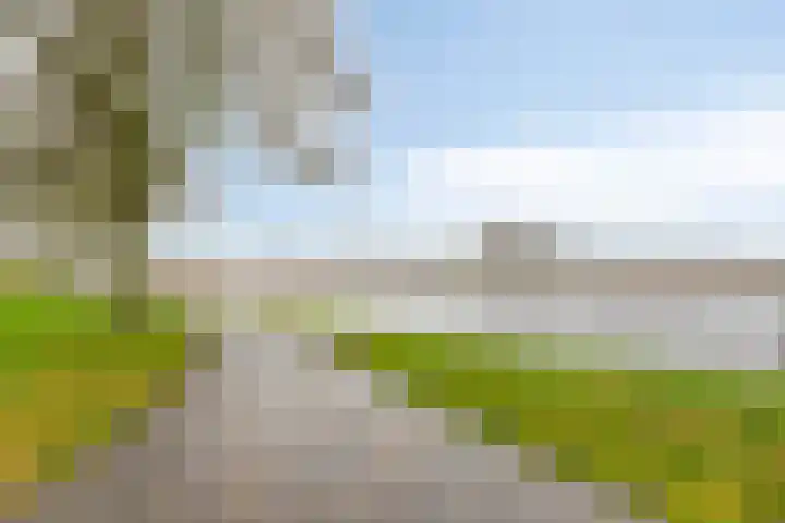 Langs de Kreek 13 a Terneuzen thumbnail 37