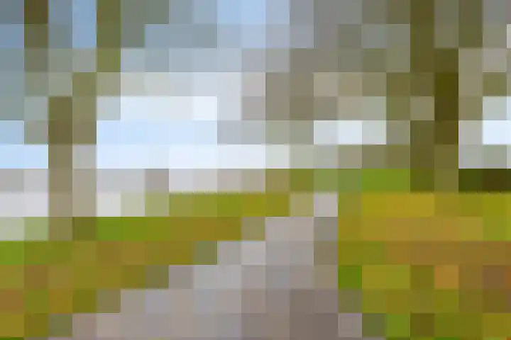 Langs de Kreek 13 a Terneuzen thumbnail 38