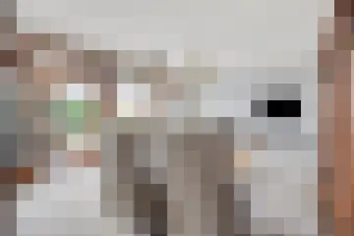 Langs de Kreek 13 a Terneuzen thumbnail 8