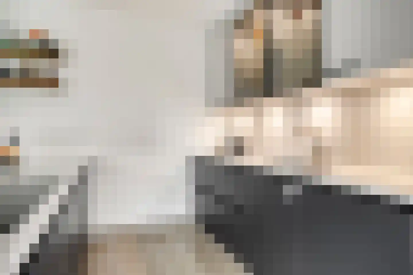 Langs de Kreek 17 b Terneuzen thumbnail 15