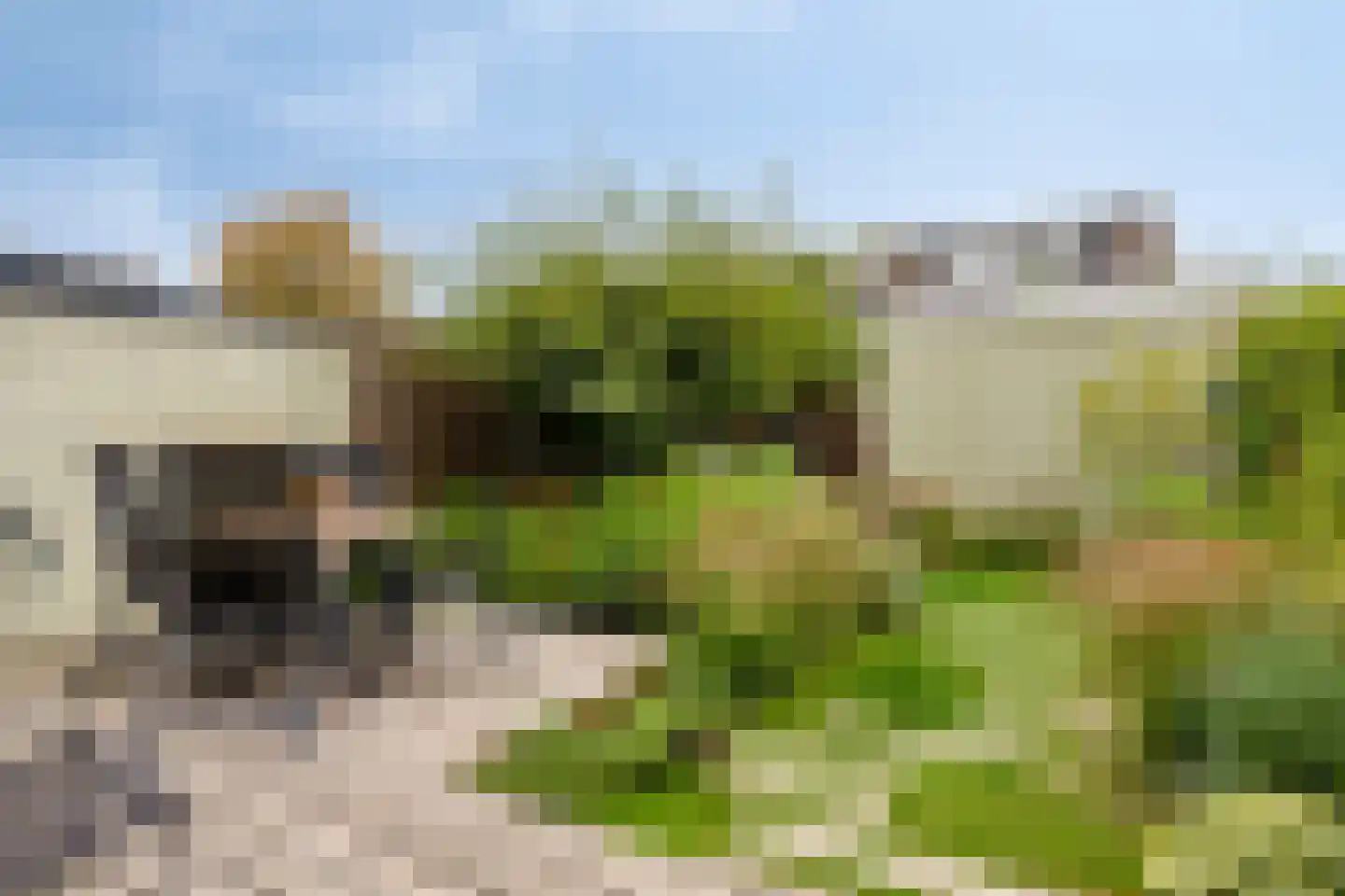 Langs de Kreek 17 b Terneuzen thumbnail 30