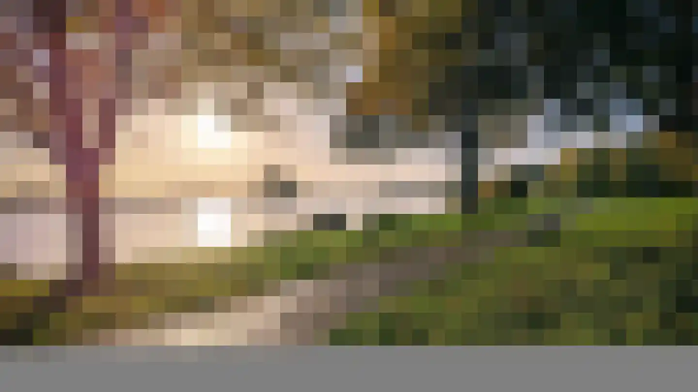 Langs de Kreek 17 b Terneuzen thumbnail 35
