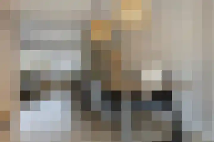 Langs de Kreek 25 Terneuzen thumbnail 11