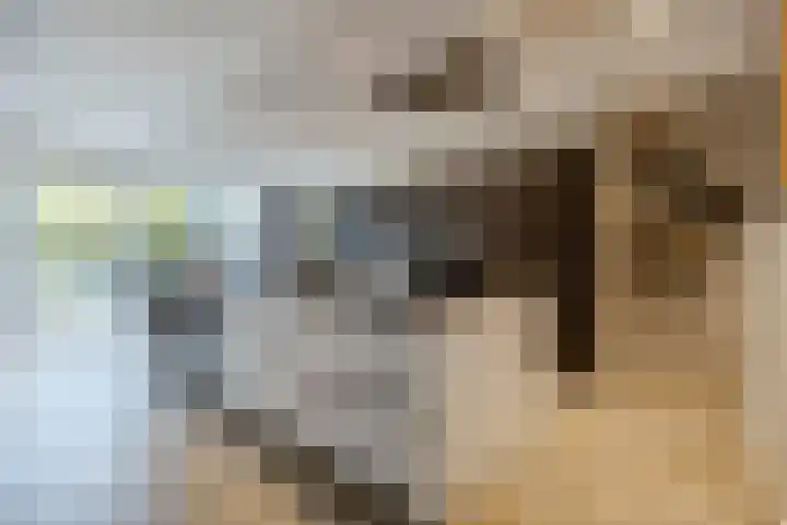 Langs de Kreek 25 Terneuzen thumbnail 14