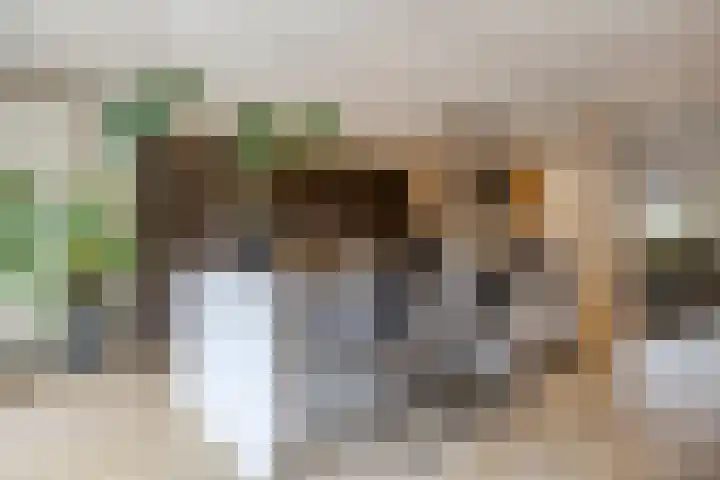 Langs de Kreek 25 Terneuzen thumbnail 17