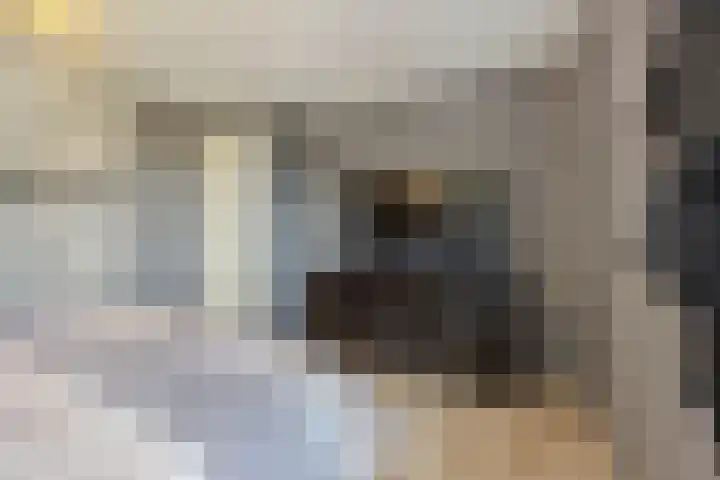 Langs de Kreek 25 Terneuzen thumbnail 21
