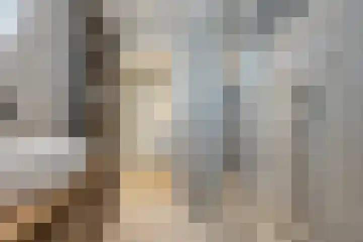 Langs de Kreek 25 Terneuzen thumbnail 24