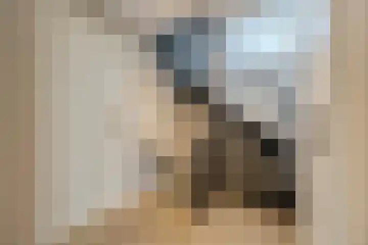 Langs de Kreek 25 Terneuzen thumbnail 26