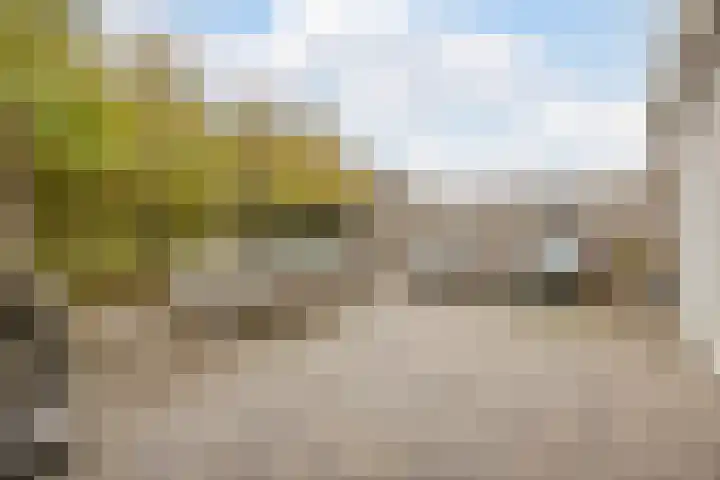 Langs de Kreek 25 Terneuzen thumbnail 30