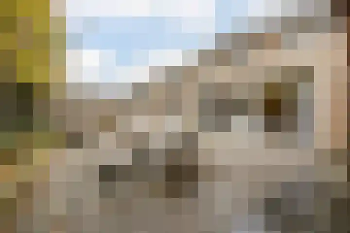 Langs de Kreek 25 Terneuzen thumbnail 33