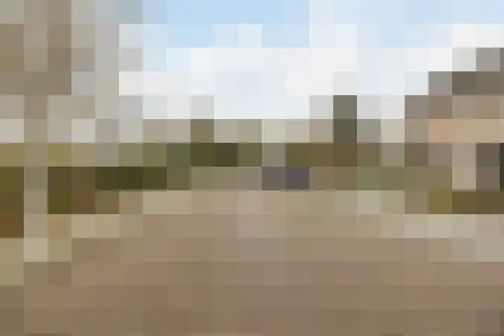Langs de Kreek 25 Terneuzen thumbnail 35