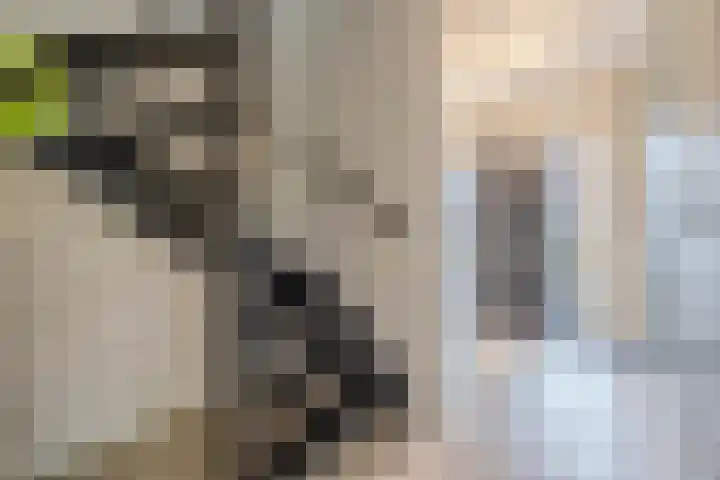 Langs de Kreek 25 Terneuzen thumbnail 6