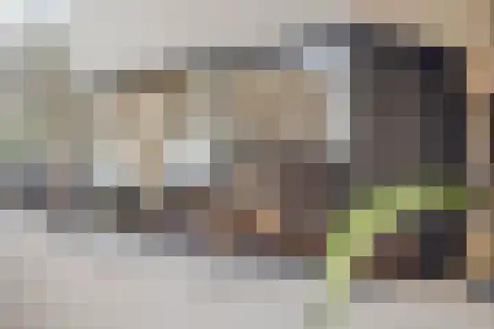 Langs de Kreek 25 Terneuzen thumbnail 9