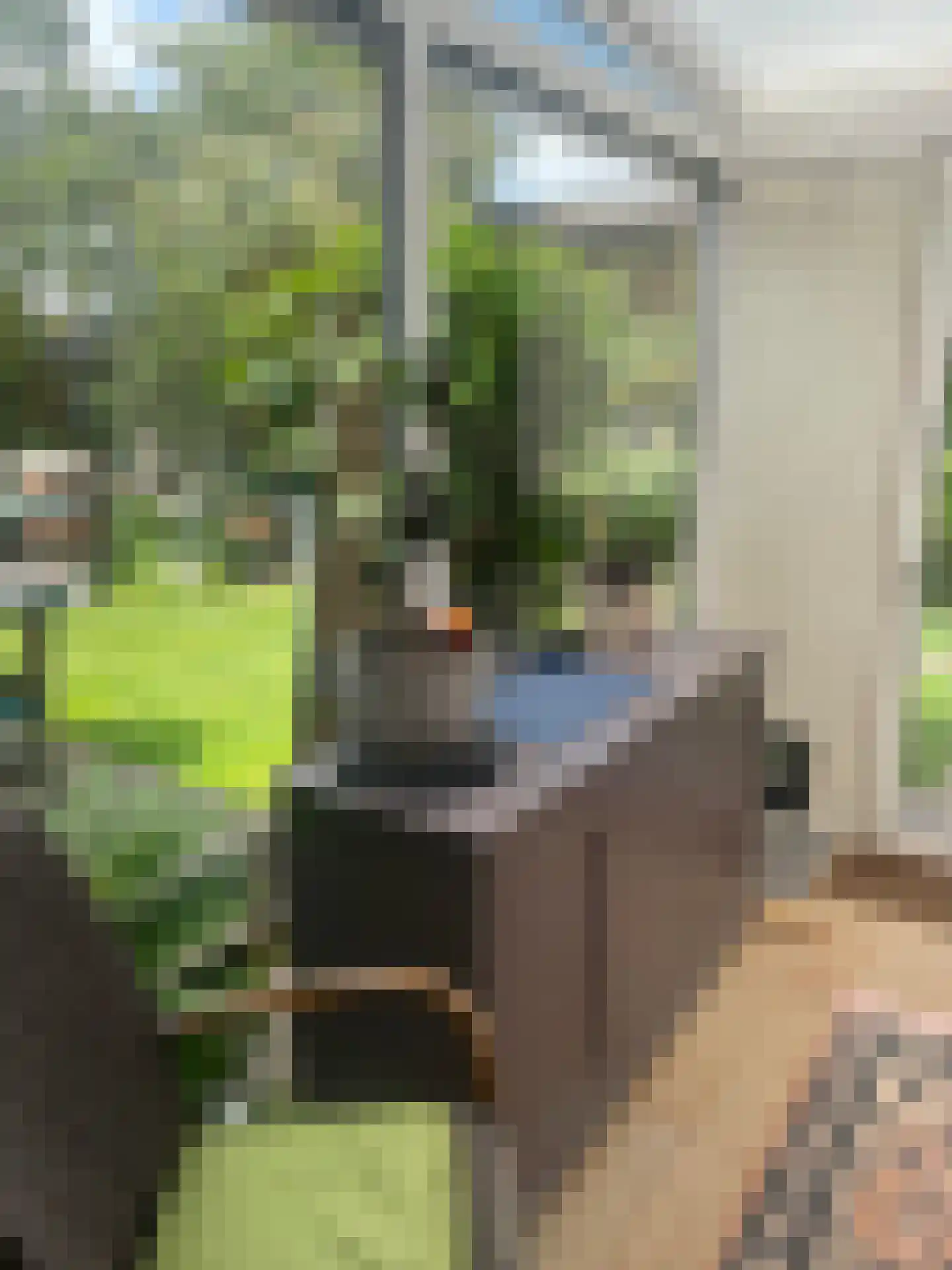 Langs de Kreek 37 Terneuzen thumbnail 18