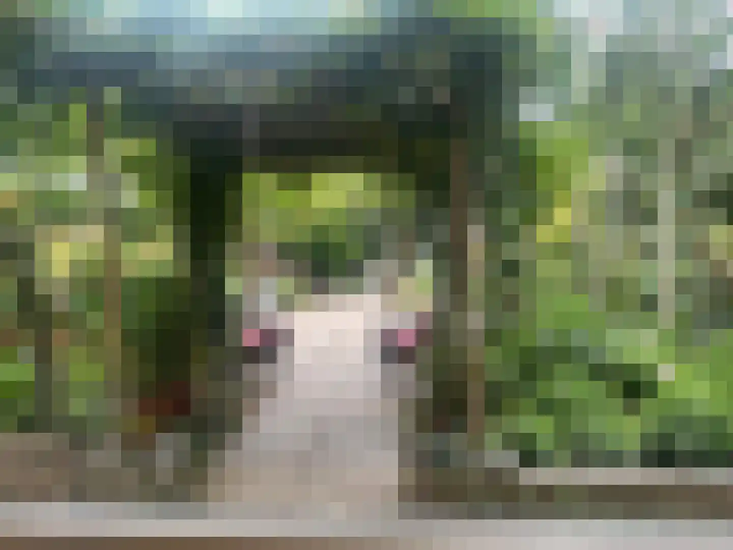 Langs de Kreek 37 Terneuzen thumbnail 20