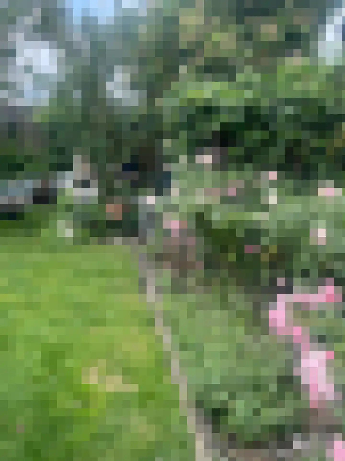 Langs de Kreek 37 Terneuzen thumbnail 23