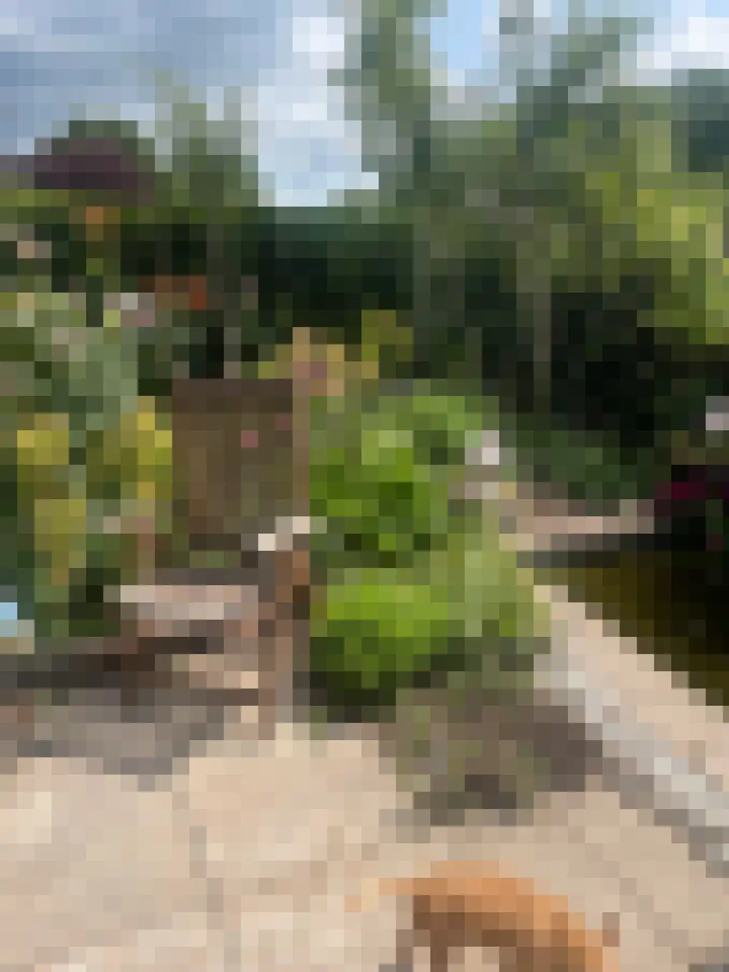 Langs de Kreek 37 Terneuzen thumbnail 27