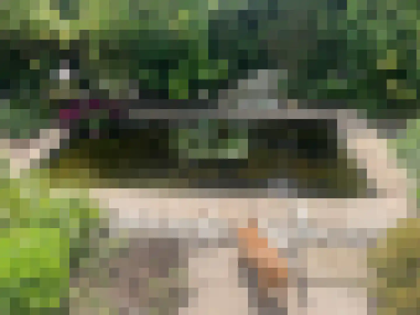 Langs de Kreek 37 Terneuzen thumbnail 28