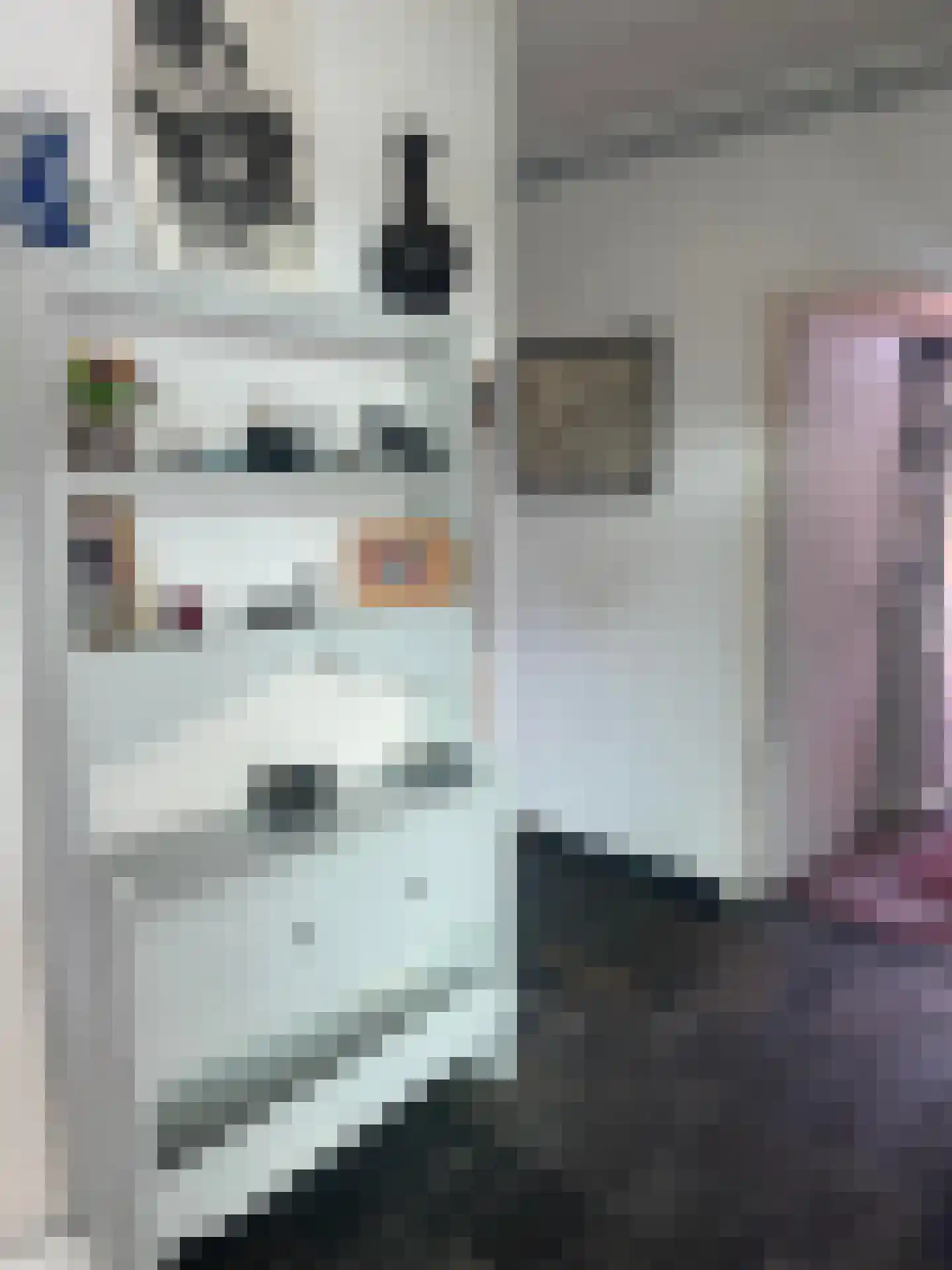 Langs de Kreek 37 Terneuzen thumbnail 5