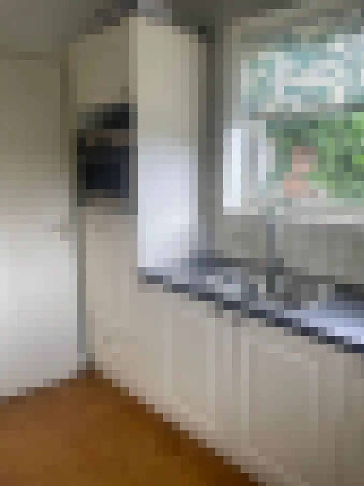 Langs de Kreek 37 Terneuzen thumbnail 7